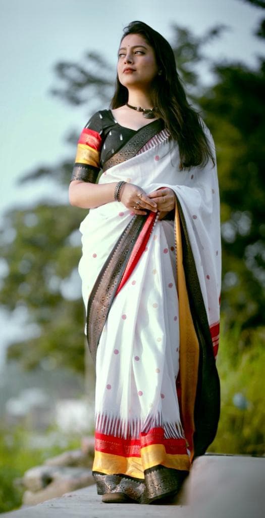 designed printed woven saree